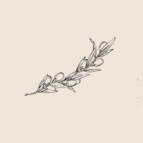 Sprig drawing